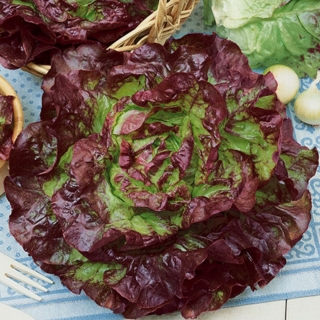 Салат Амальфи