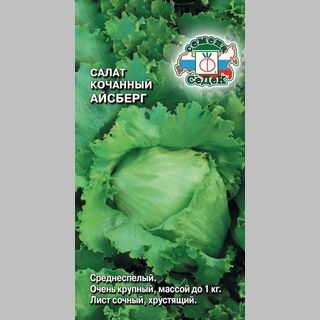 Салат Айсберг кочанный