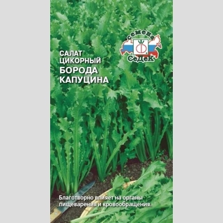 Салат Борода Капуцина (цикорный)