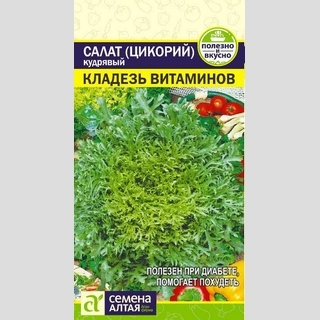 Салат Эндивий Кладезь Витаминов