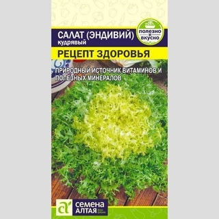 Салат Эндивий Рецепт Здоровья