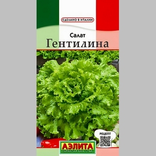 Салат Гентилина