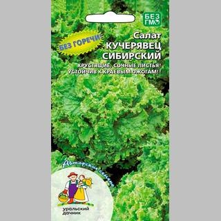 Салат Кучерявец сибирский