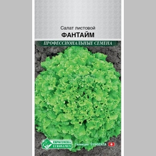 Салат Фантайм