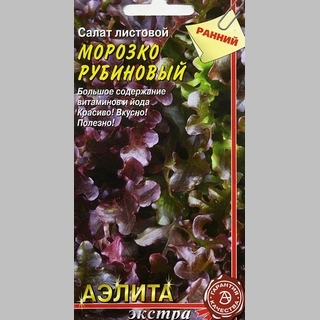 Салат Морозко рубиновый