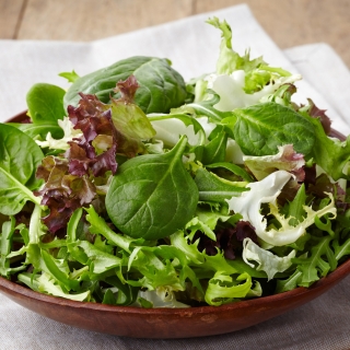 Смесь салатных культур Нормандия