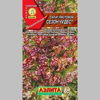 Салат Сезон чудес