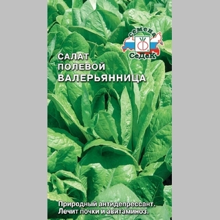 Салат Валерьянница Огородная полевой