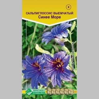 Сальпиглоссис Синее море выемчатый