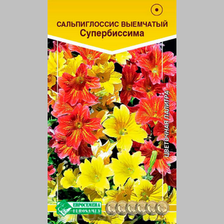 Сальпиглоссис Супербиссима выемчатый смесь
