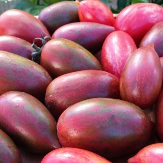 Томат Леденец розовый