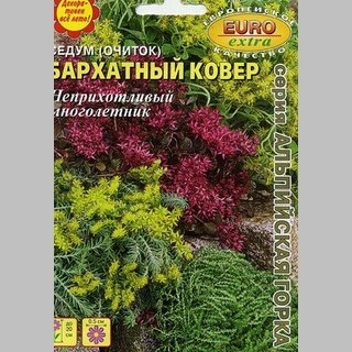 Седум Бархатный ковёр (Очиток)