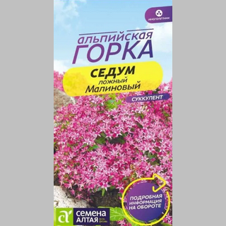 Седум Малиновый (Альпийская горка)