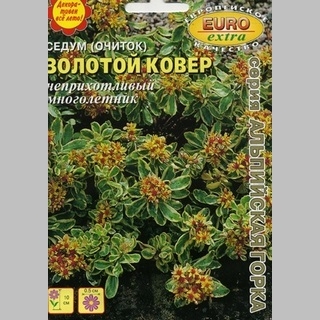 Седум Золотой ковёр (Очиток)