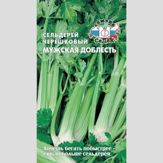 Сельдерей Мужская Доблесть черешковый