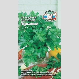 Сельдерей Пучковый (листовой)