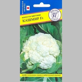 Капуста Кашмир F1 цветная