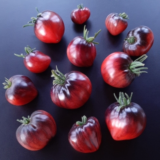 Томат Одинокое Сердце Сержанта Пеппера (большой пакет)