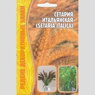 Сетария Итальянская (большой пакет)