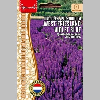 Шалфей West-Friesland Violet Blue (большой пакет)