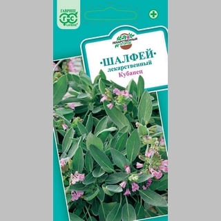 Шалфей Кубанец лекарственный