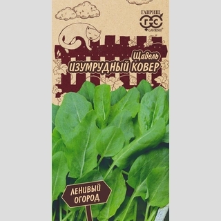 Щавель Изумрудный ковер