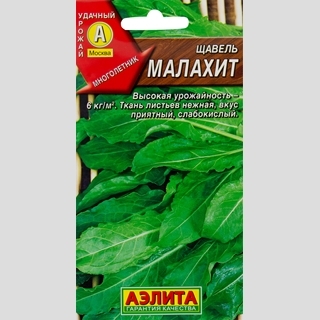 Щавель Малахит