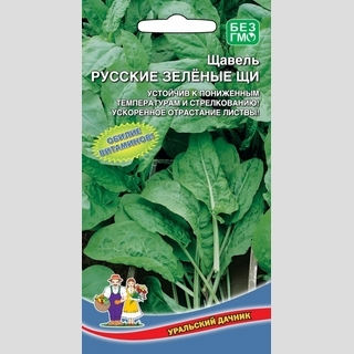 Щавель Русские Зеленые Щи