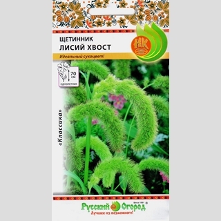 Щетинник Лисий хвост