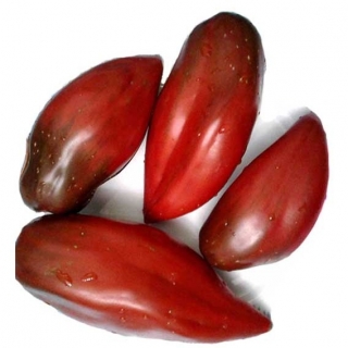 Томат Шоколадные свечи