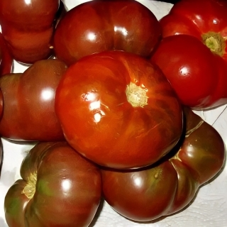 Томат Шоколадное чудо