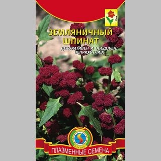 Шпинат Земляничный
