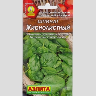 Шпинат Жирнолистный
