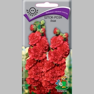 Шток-роза Алая