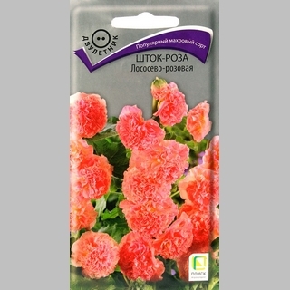 Шток-роза Лососево-розовая