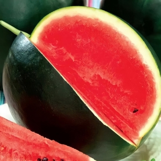 Арбуз Сибирские огни