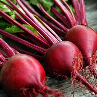 Свекла Сибирский борщ