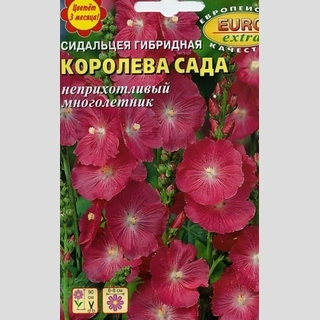 Сидальцея Королева сада