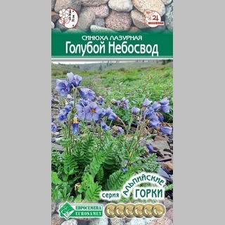 Синюха Голубой небосвод лазурная