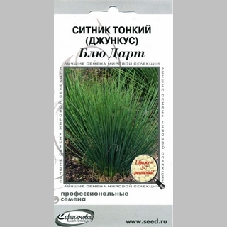 Ситник (Джункус) Блю Дарт тонкий