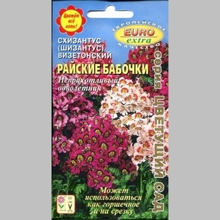 Схизантус Райские бабочки