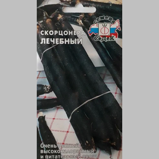 Скорцонера Лечебный