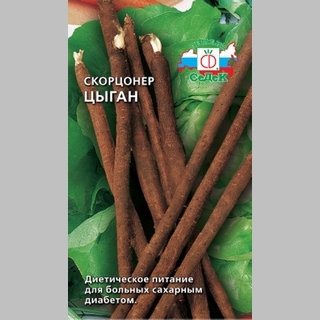 Скорцонера Цыган