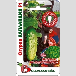 Огурец Лапландия F1