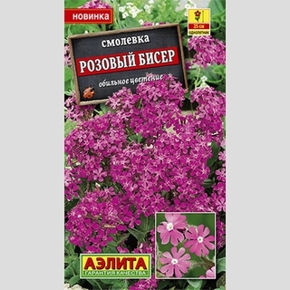 Смолевка Розовый бисер