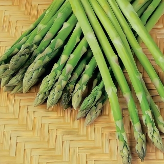 Спаржа Аржентельская