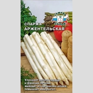 Спаржа Аржентельская