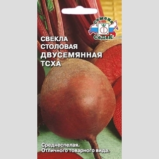 Свёкла Двусемянная ТСХА