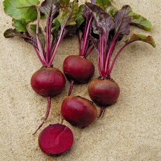 Свекла Игл F1