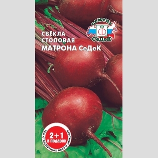 Свекла Матрона СеДеК